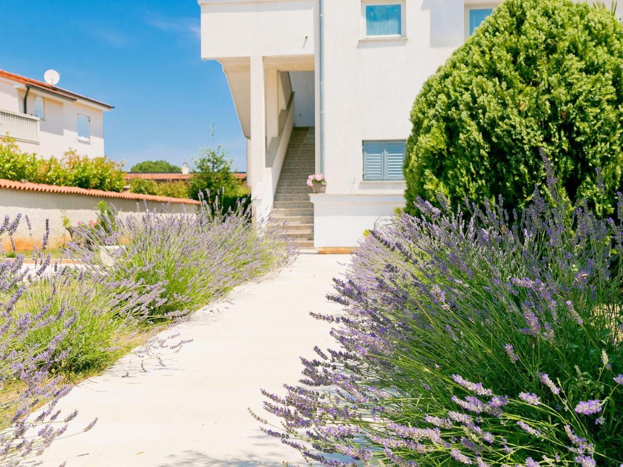 Apartment Noa Pula Dış mekan fotoğraf